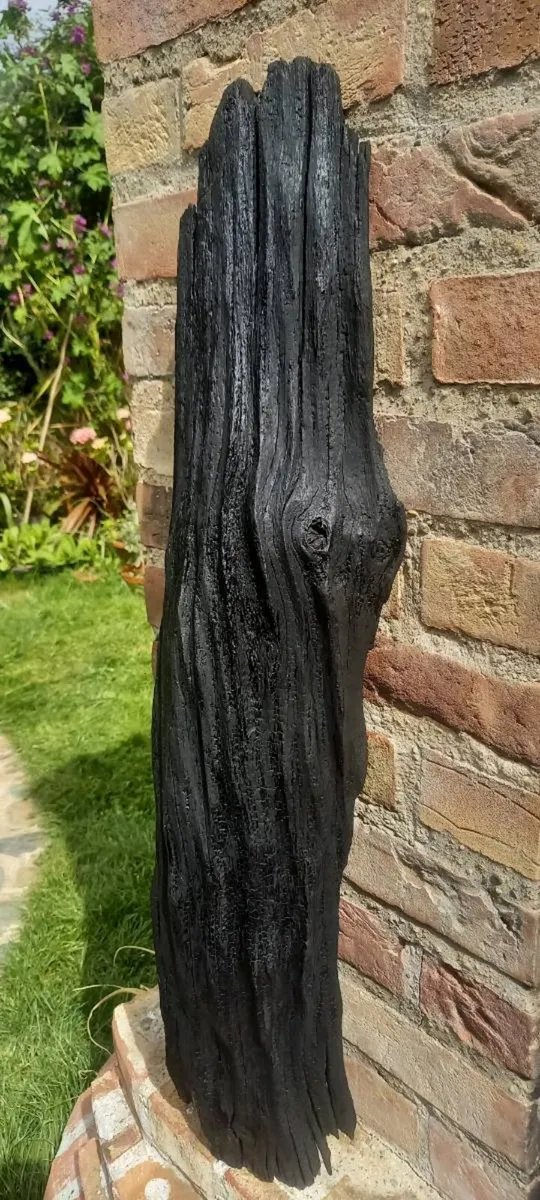Natural bog oak/wild cherry - Image 1