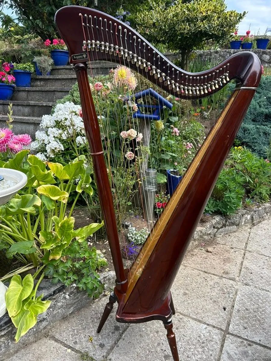 Aoyama 34 String Lever Harp - Image 2