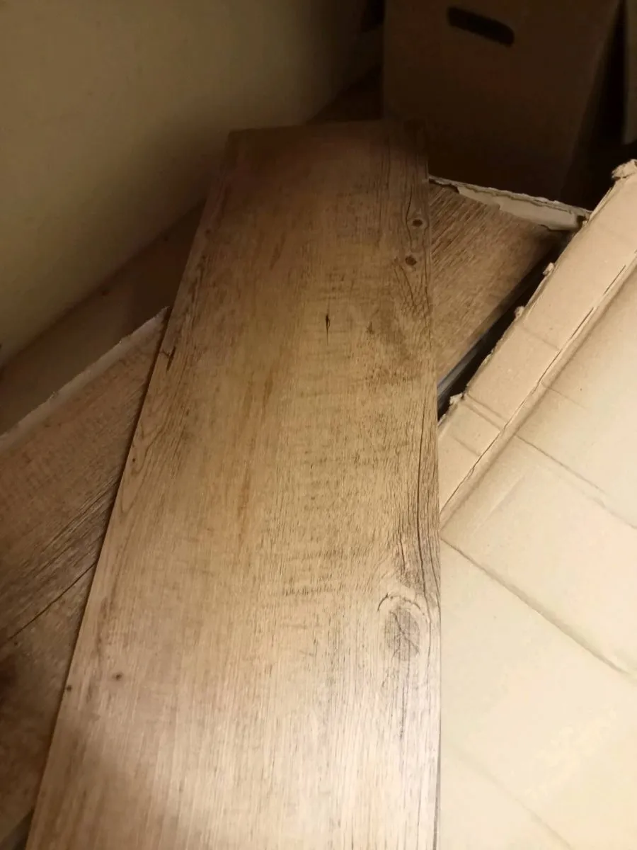 Liberty Urban 55 Neo Glue-Down LVT Flooring - Image 2
