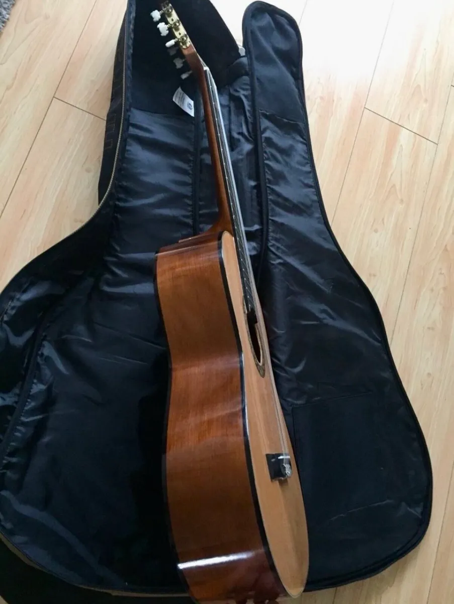 Guitar - Image 2