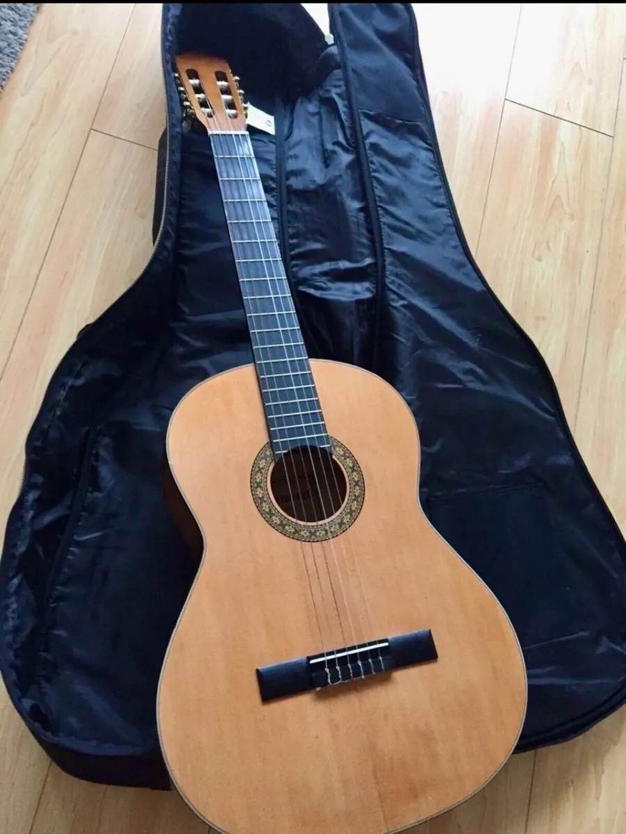 Guitar - Image 3