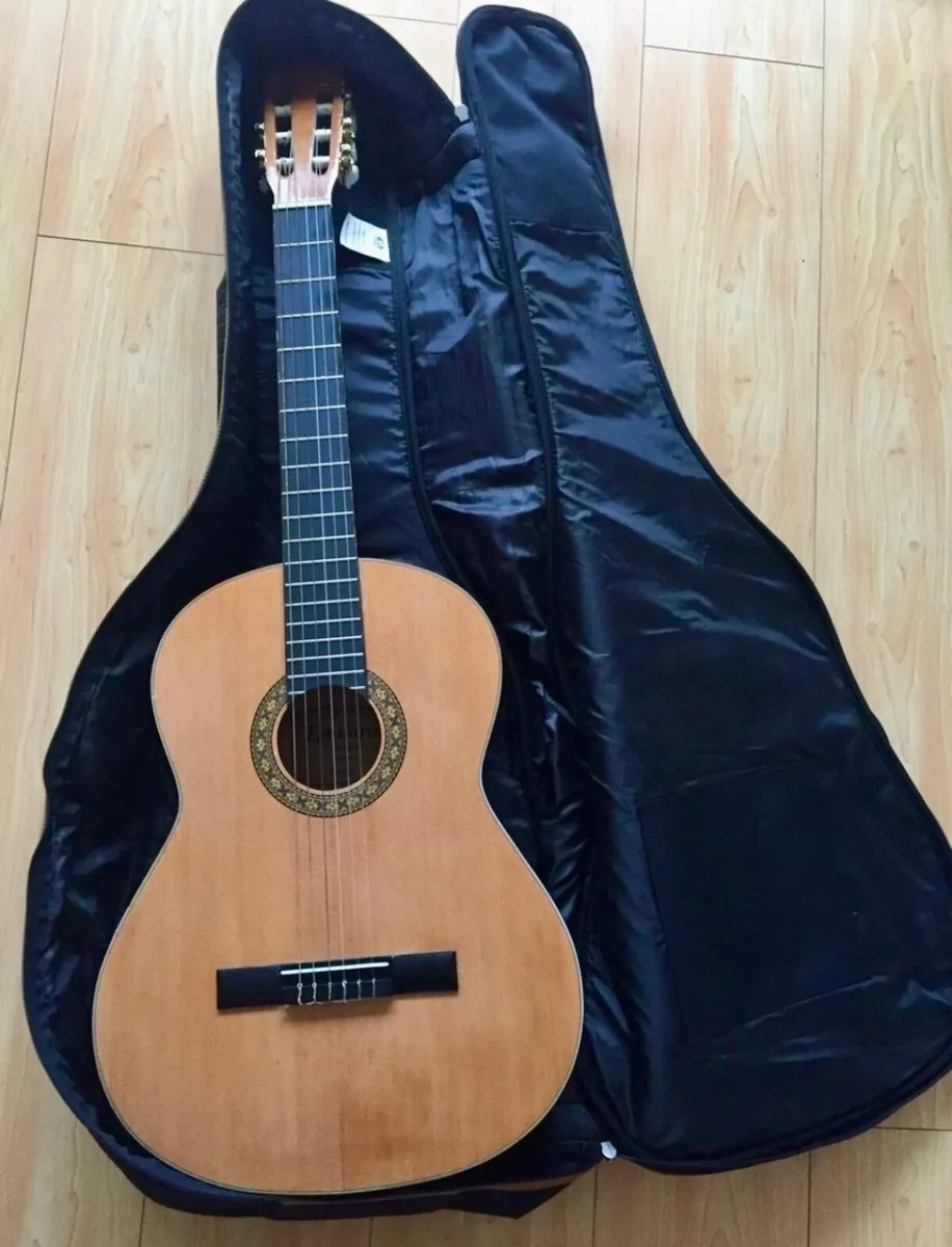 Guitar - Image 1