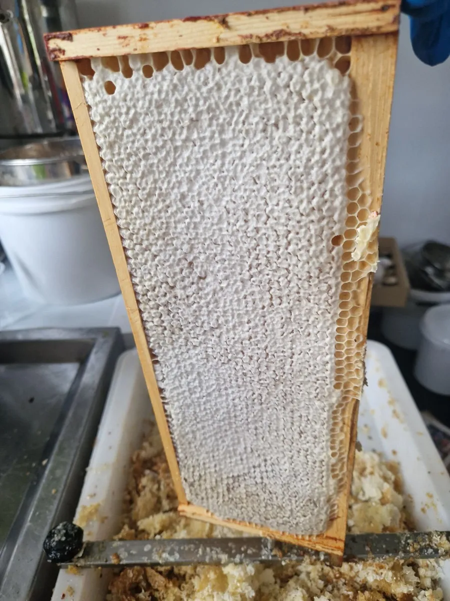 Honey comb - Image 1