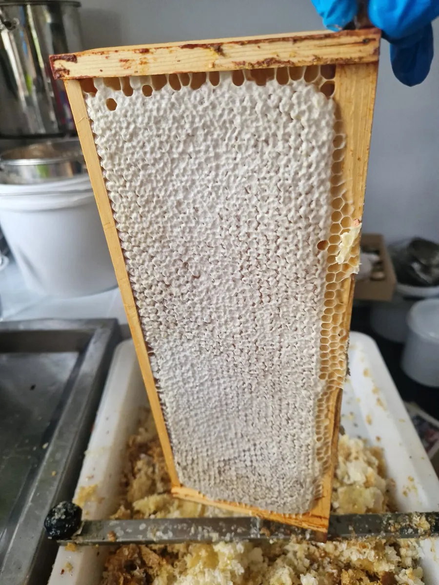 Honey comb - Image 2