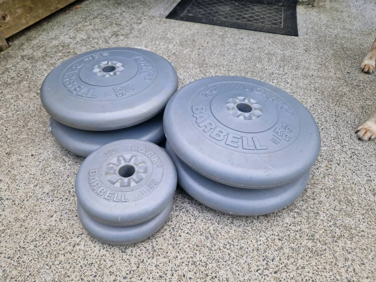 Weight Plates. Standard 25 mm - Image 1