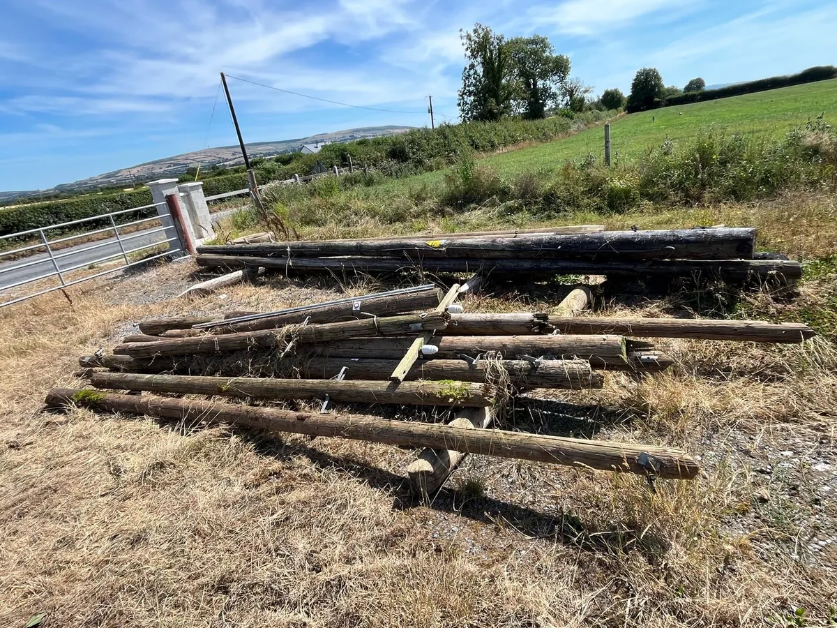 ESB poles/ sheeting - Image 1