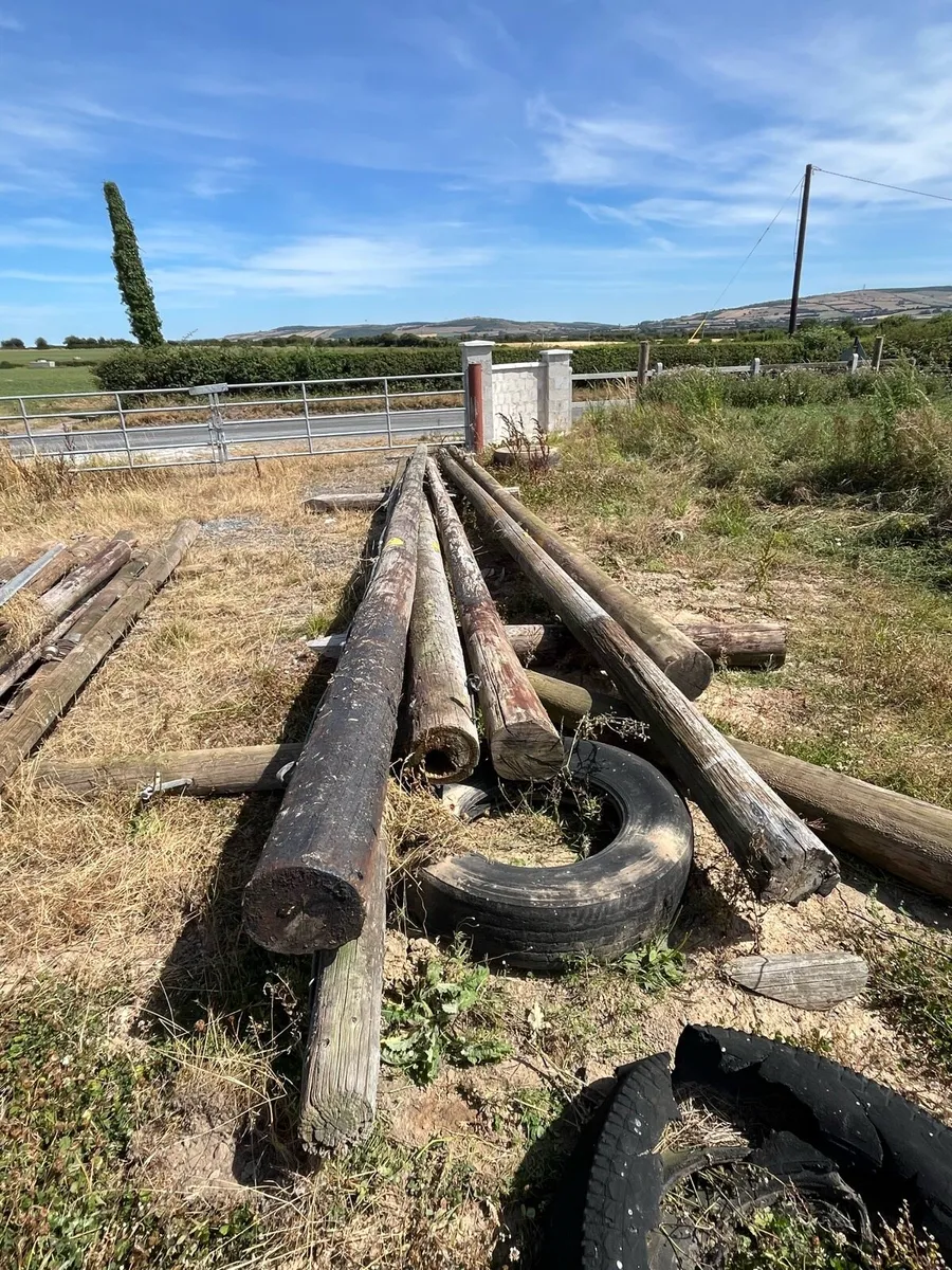 ESB poles/ sheeting - Image 2