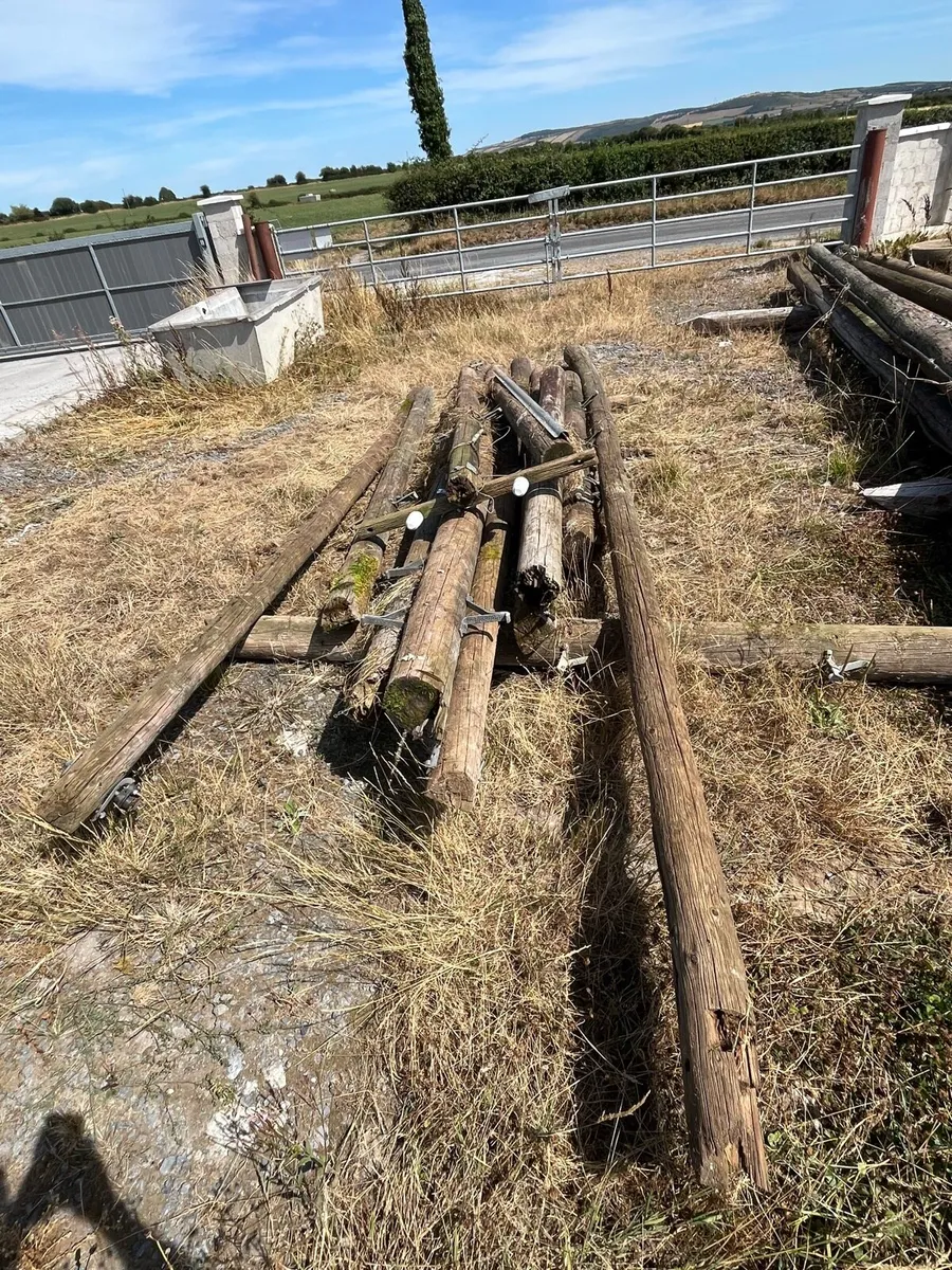 ESB poles/ sheeting - Image 3