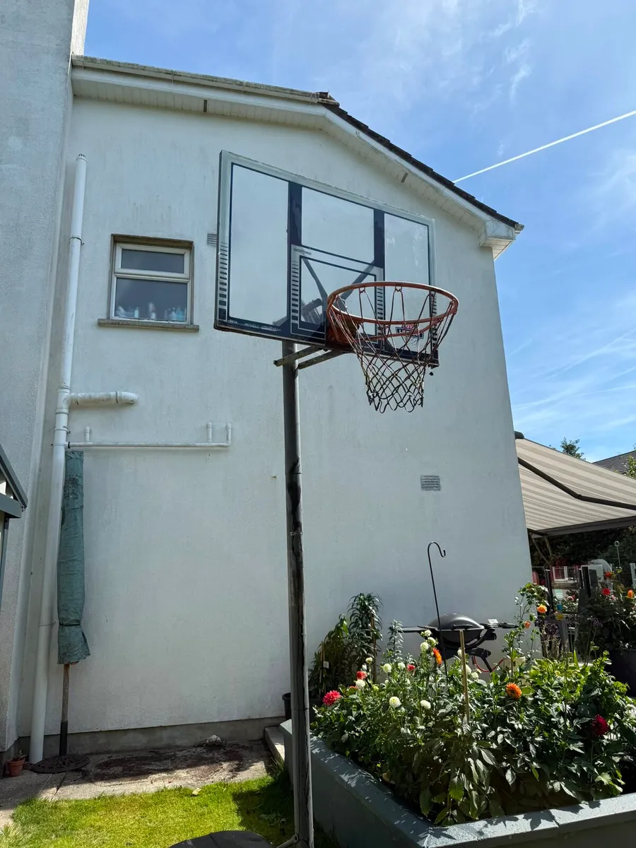 Free basketball hoop - Image 1