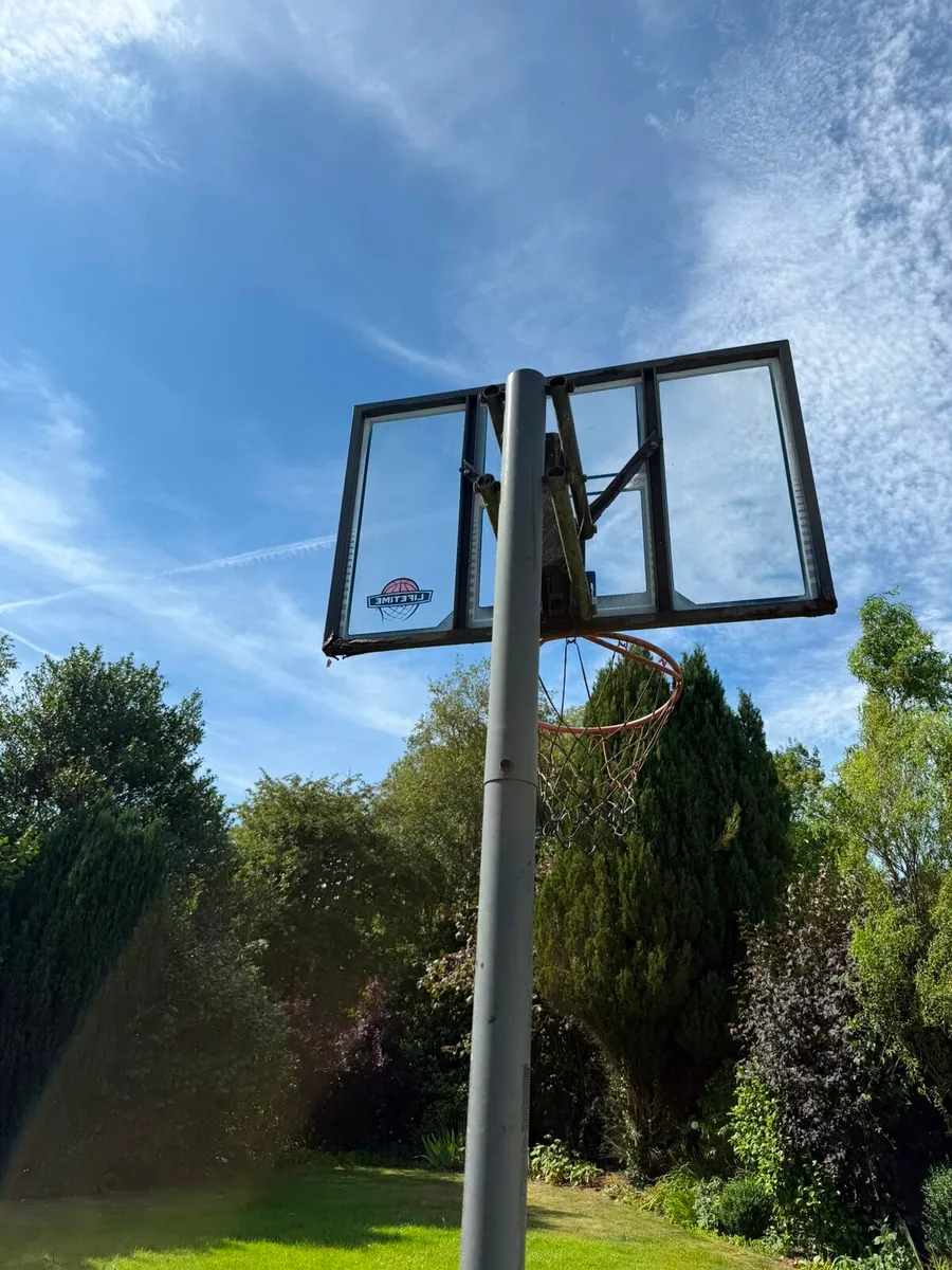 Free basketball hoop - Image 2