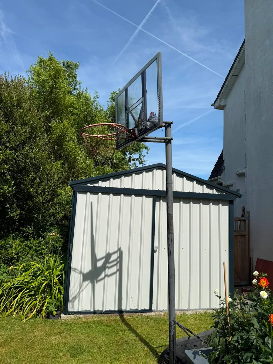 Free basketball hoop - Image 3