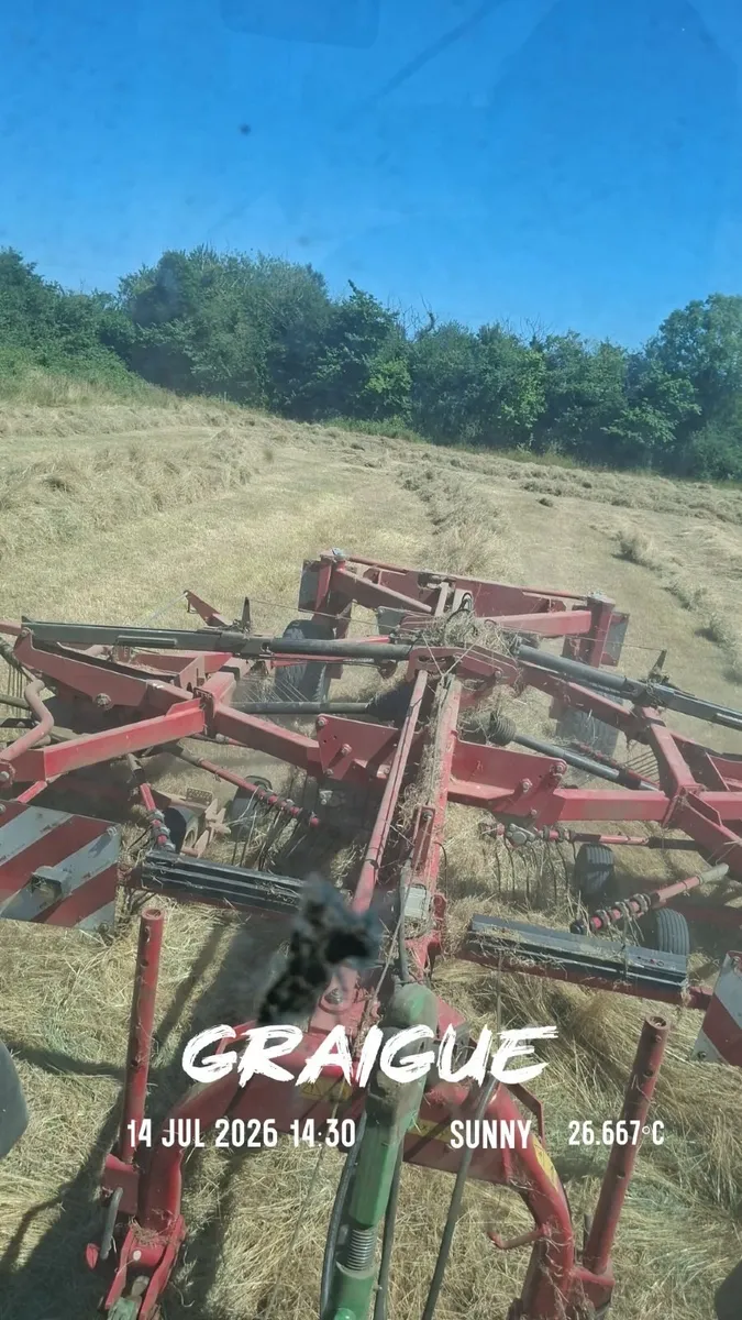 Hay - Image 2