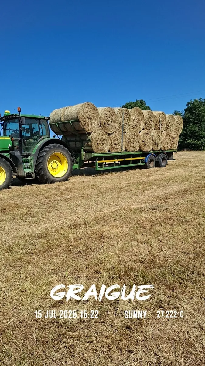 Hay - Image 1