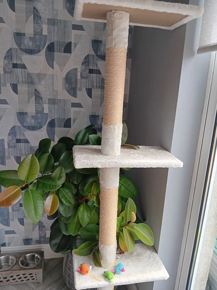 Luxury Floor to Ceiling Cream Cat Tree/Activity T - Image 3