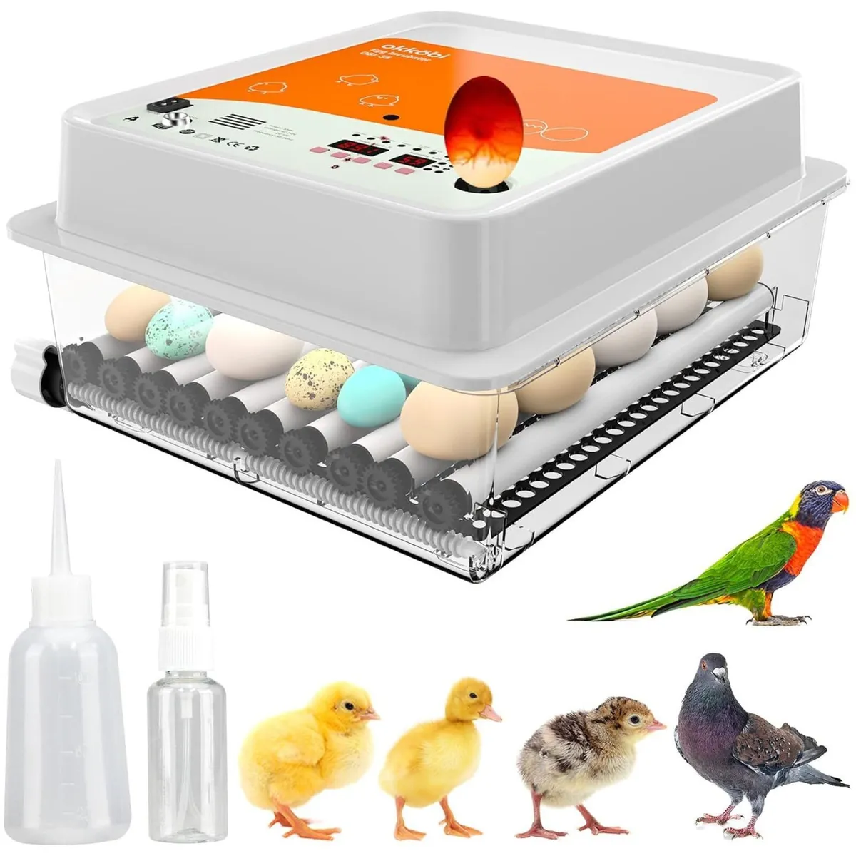 36 Egg Incubator with Auto Turner for Poultry - Image 1