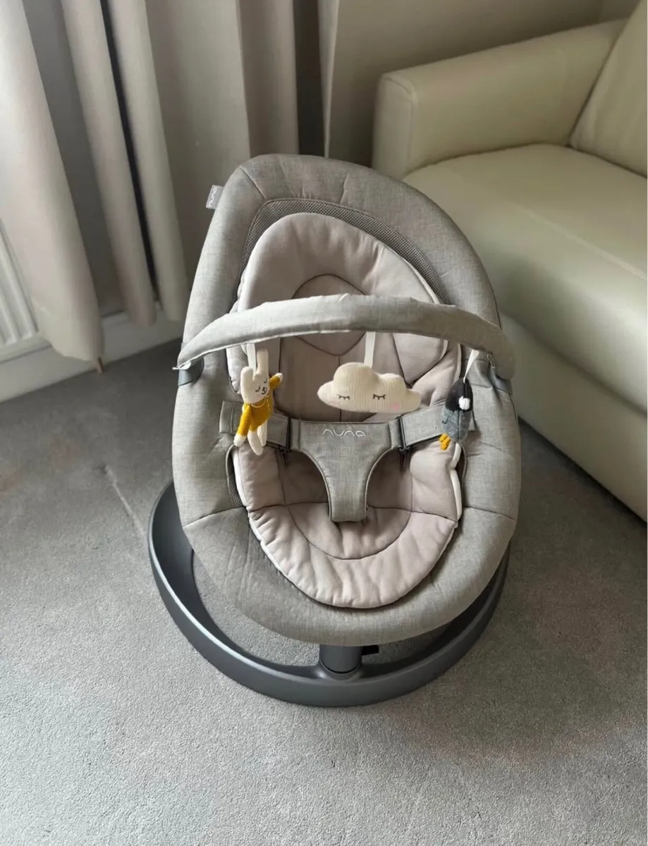 Nuna leaf grow baby swing - Image 3