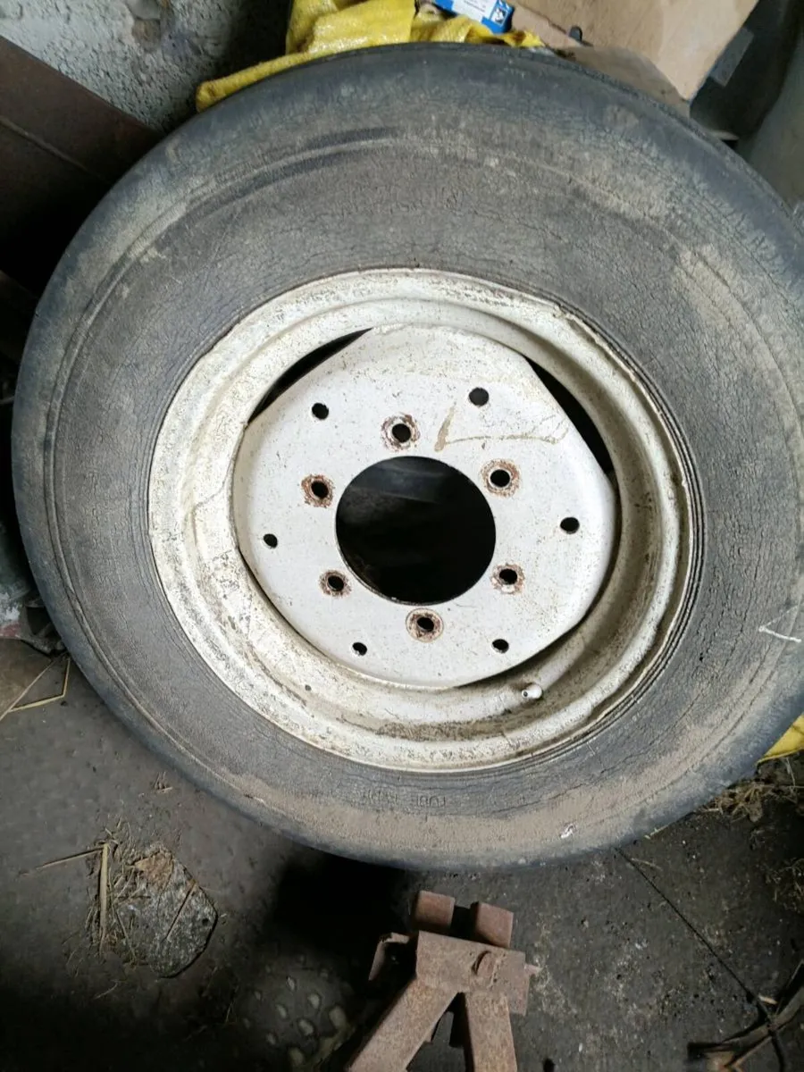 Fiat rims - Image 2