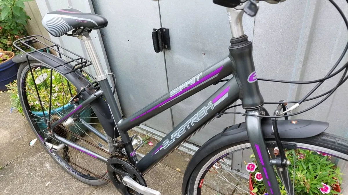 Ladies Eurotrek Bike - Image 1