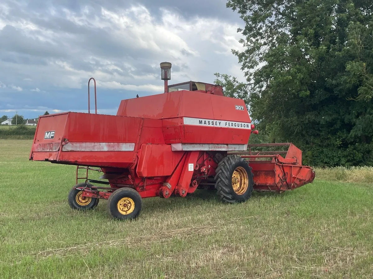 Massey Ferguson 307 - Image 1