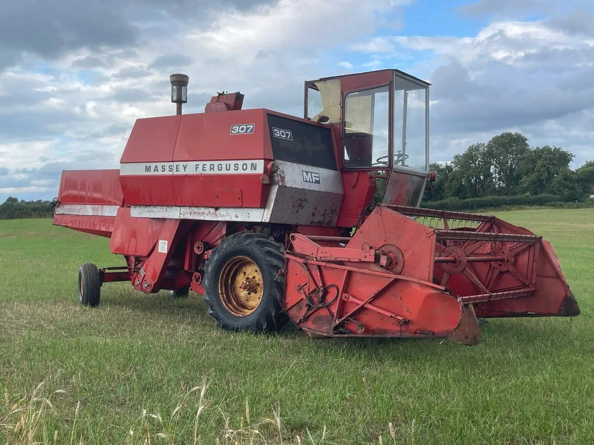 Massey Ferguson 307 - Image 2