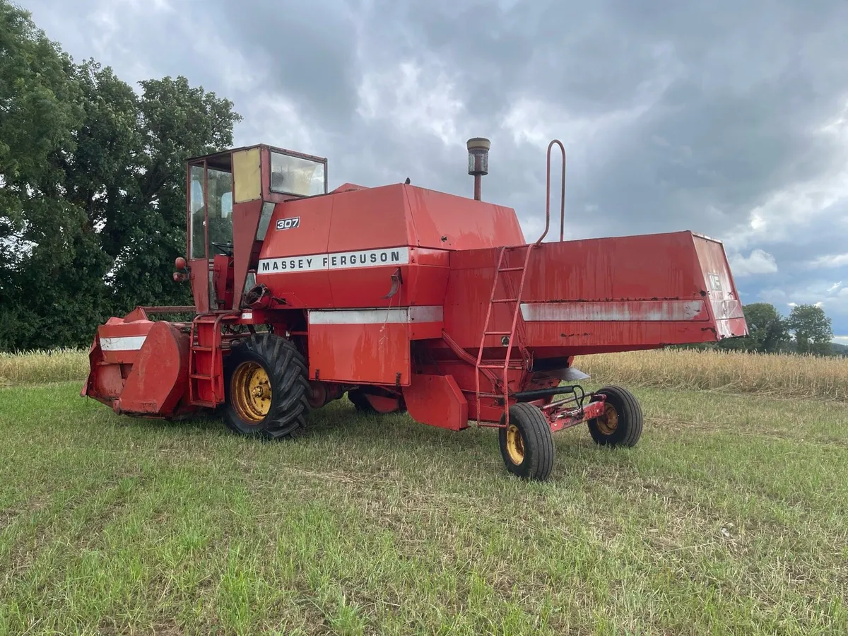 Massey Ferguson 307 - Image 3