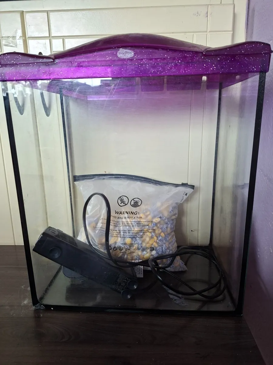 Fish Tank - Image 2
