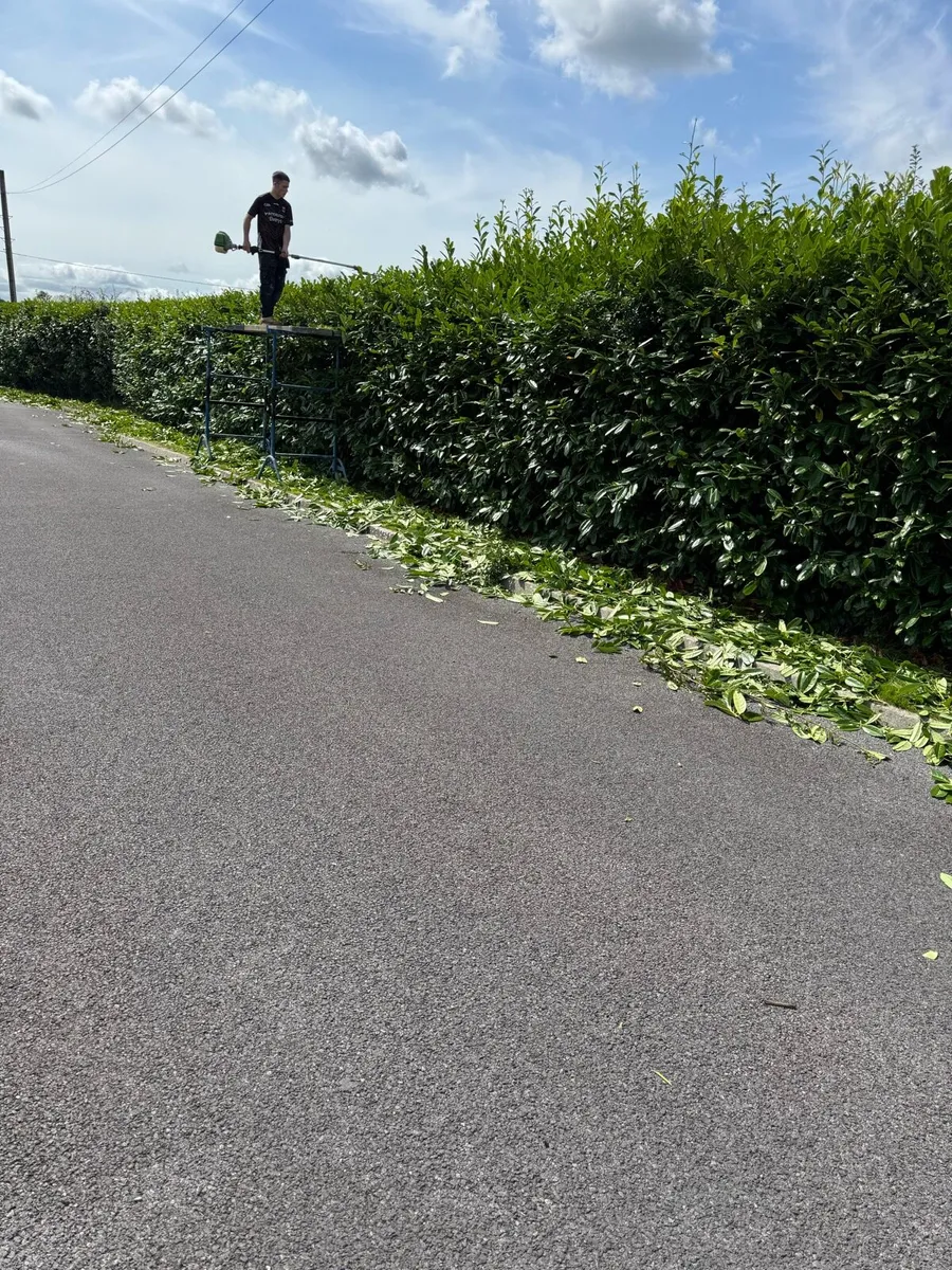 Small Landscaper& Power Washing service - Image 3