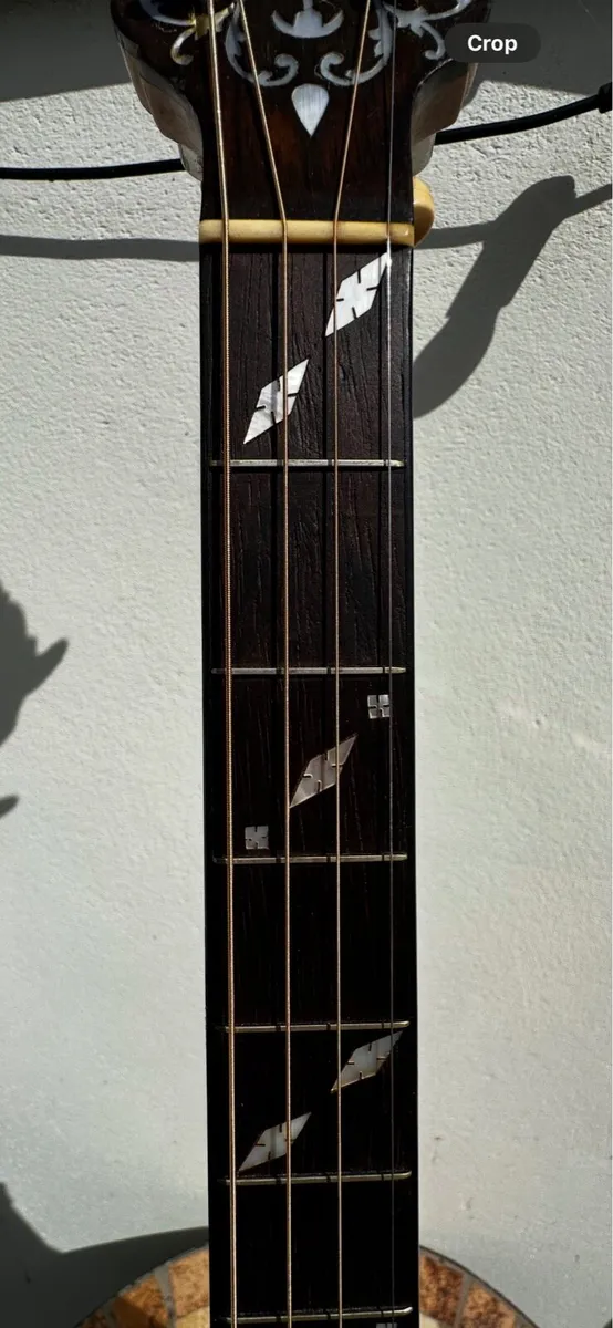 Paramount Style A Tenor Banjo - Image 4
