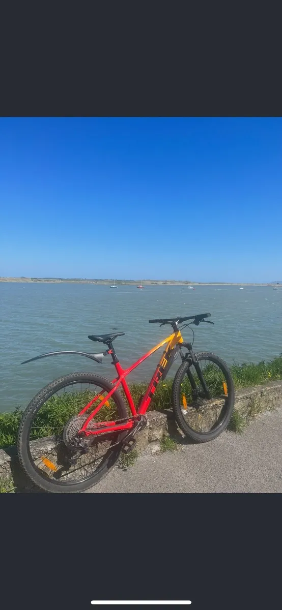 Bike - Image 2