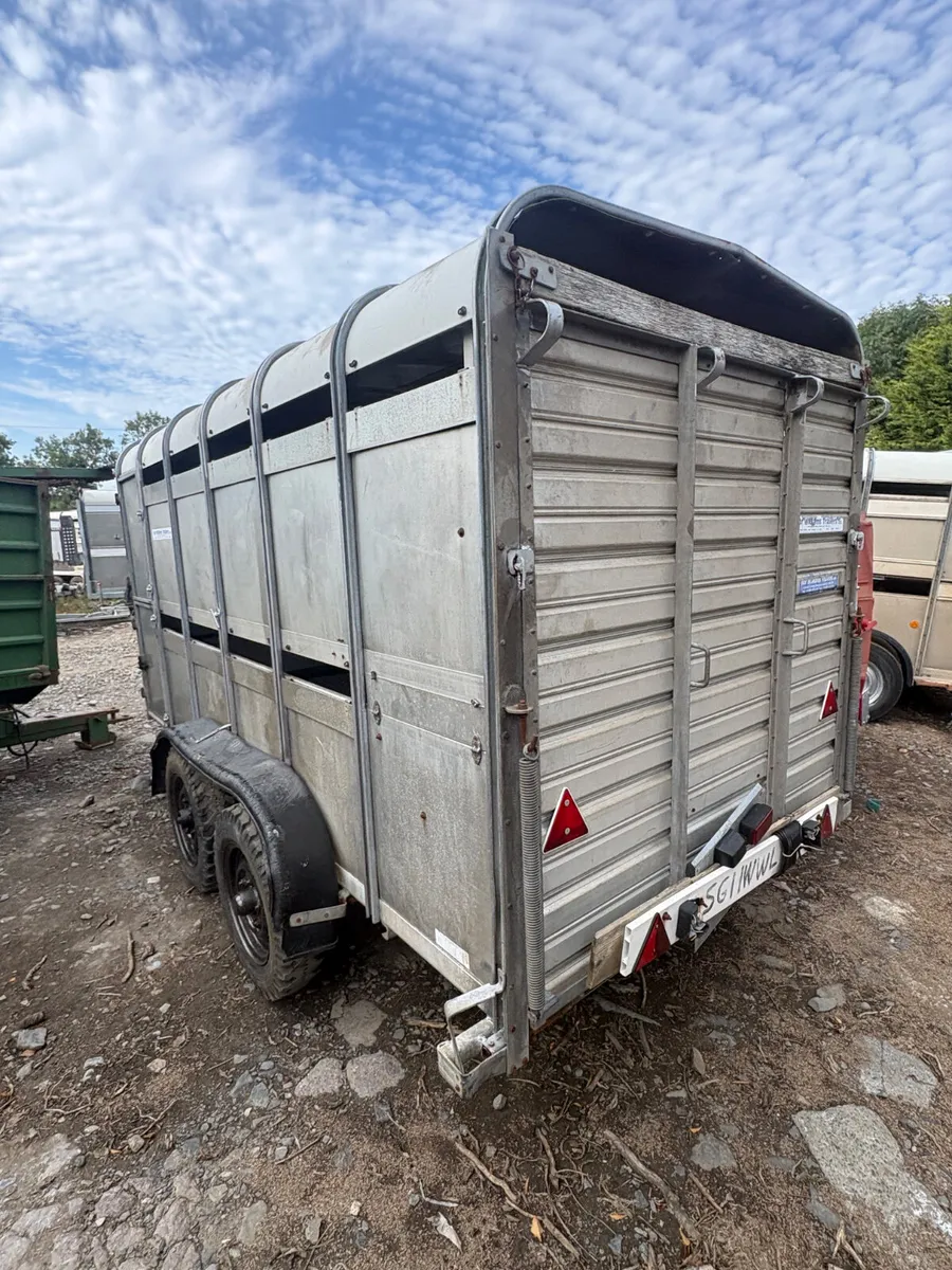 Ifor Williams 12ft livestock trailer - Image 2