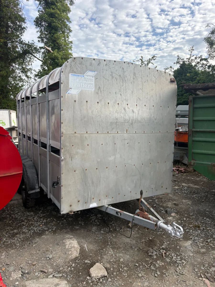 Ifor Williams 12ft livestock trailer - Image 1