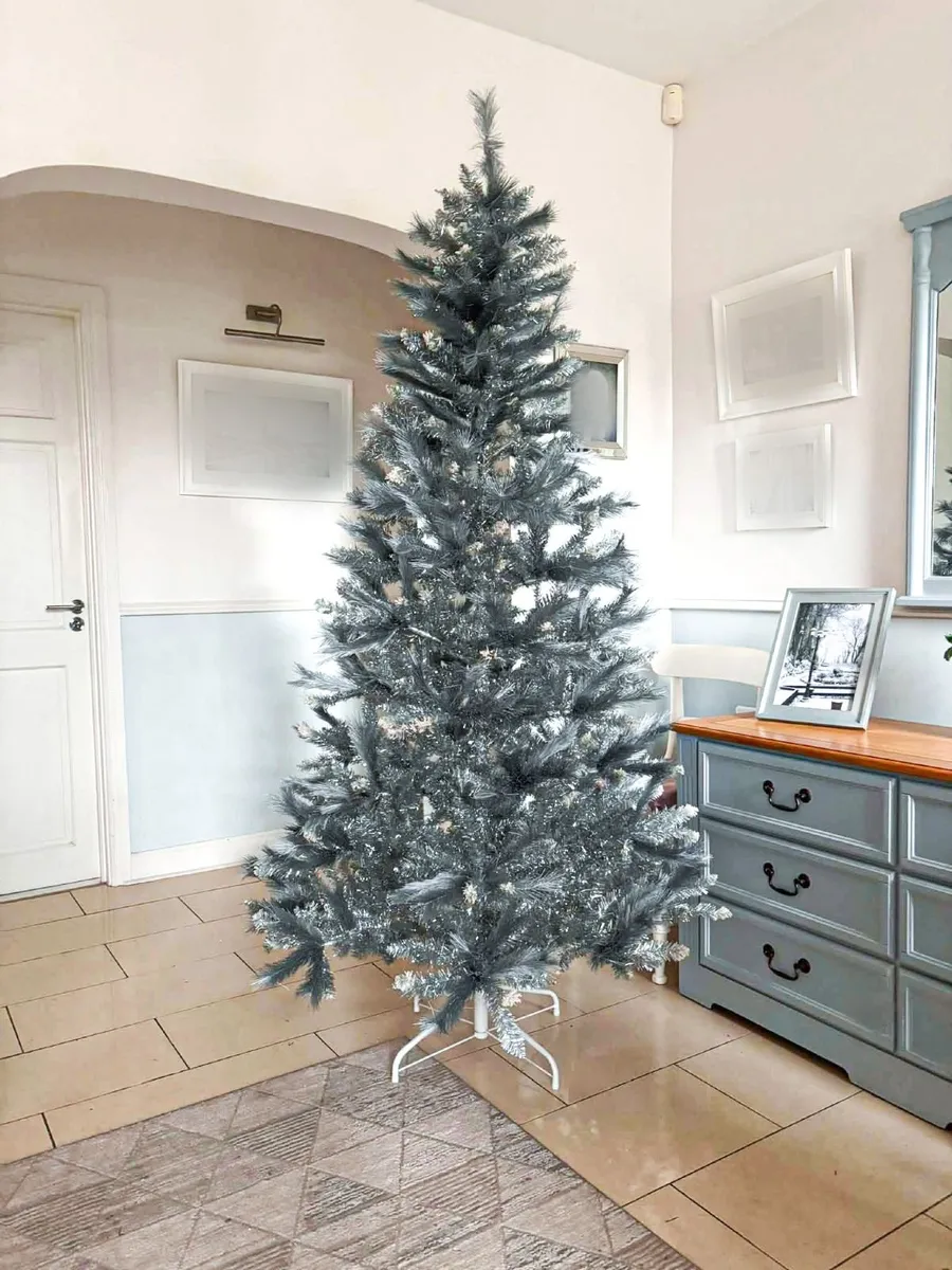 Christmas trees. - Image 1