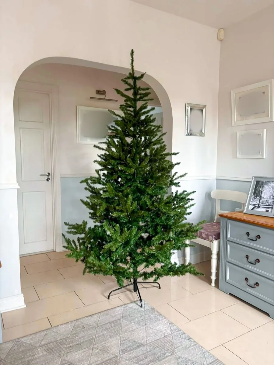 Christmas trees. - Image 2