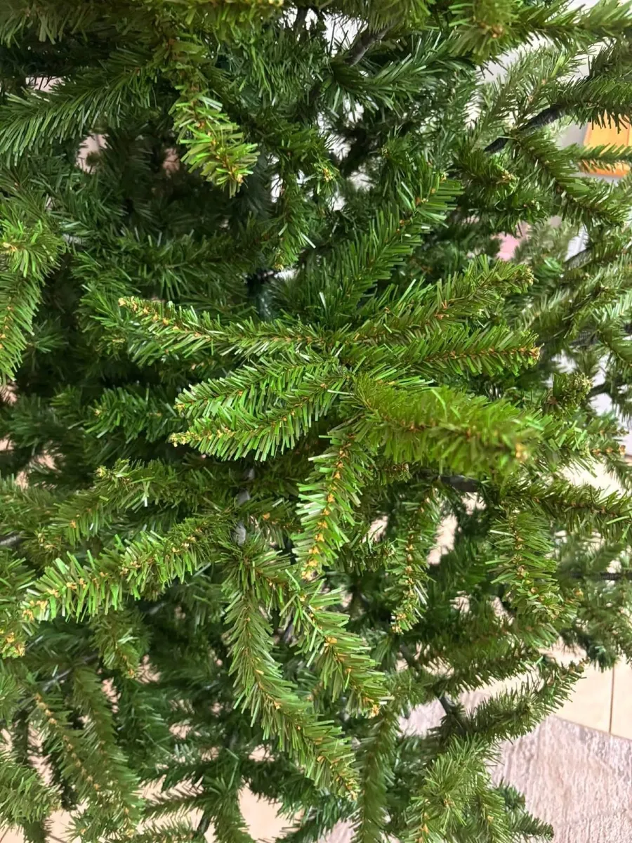 Christmas trees. - Image 3
