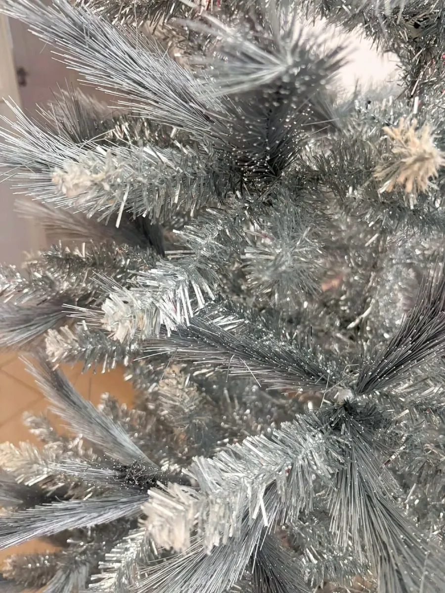 Christmas trees. - Image 4