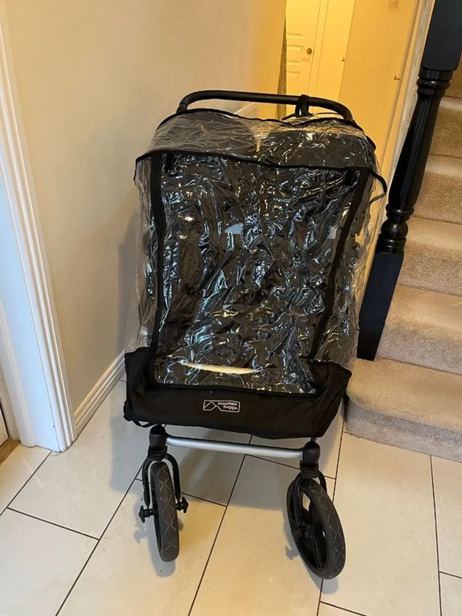 Mountain buggy Duet - Image 3