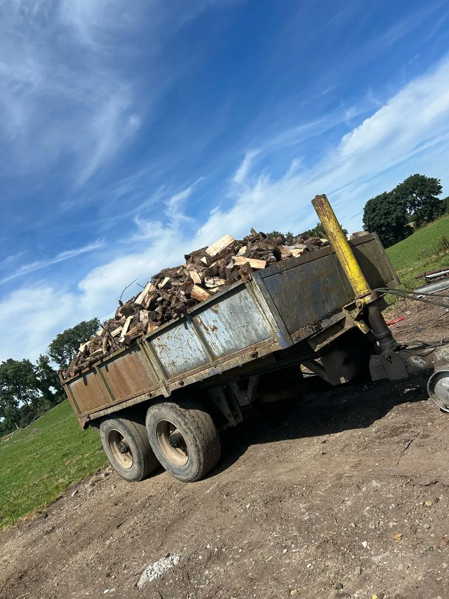 Trailer load of good quality firewood - Image 1