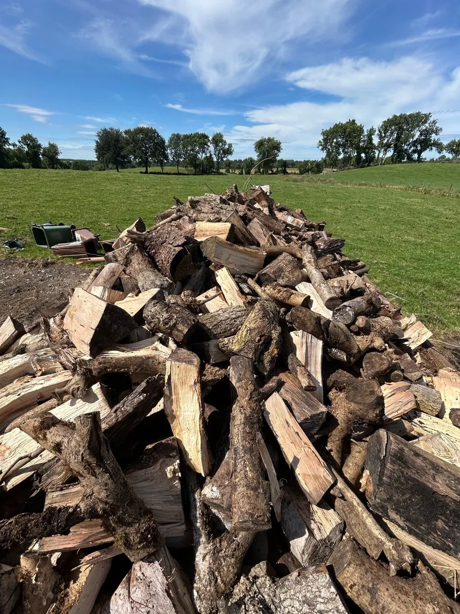 Trailer load of good quality firewood - Image 2