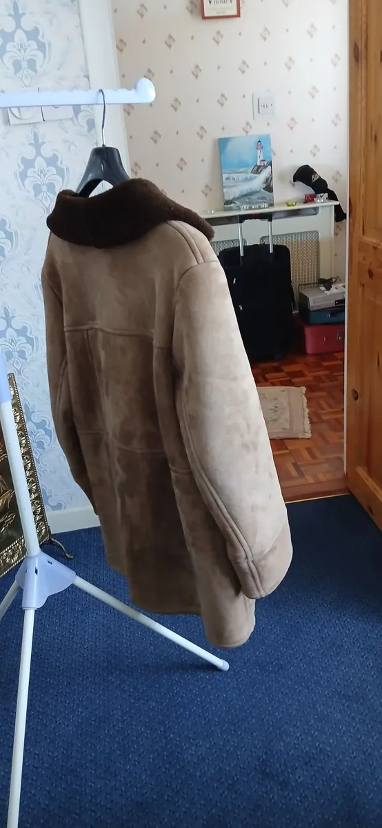 Gents Sheep  skin jacket - Image 3