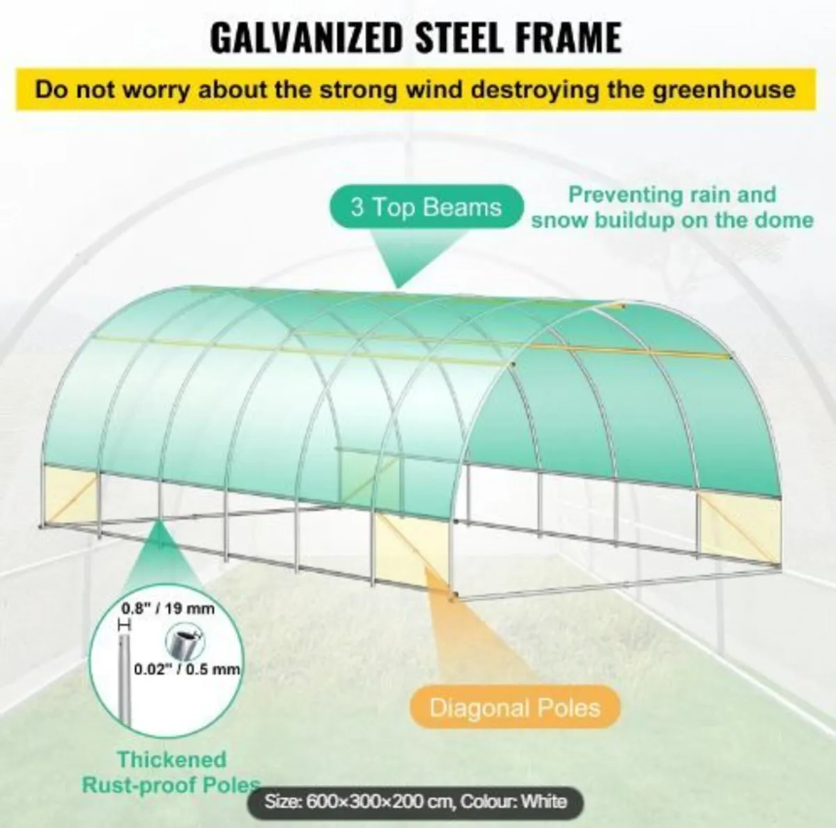 Walk-in Tunnel Greenhouse - Image 4