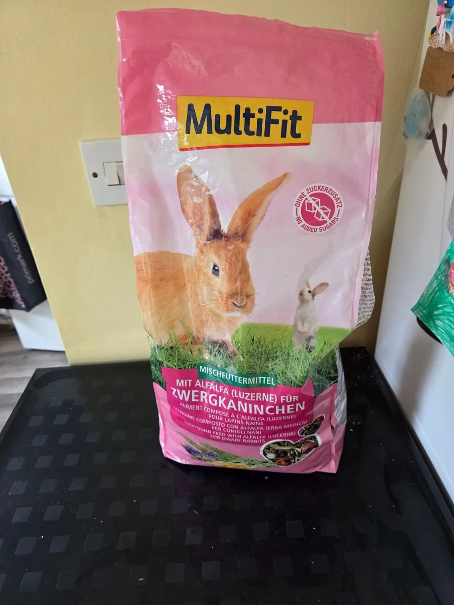 Bunny - Image 2