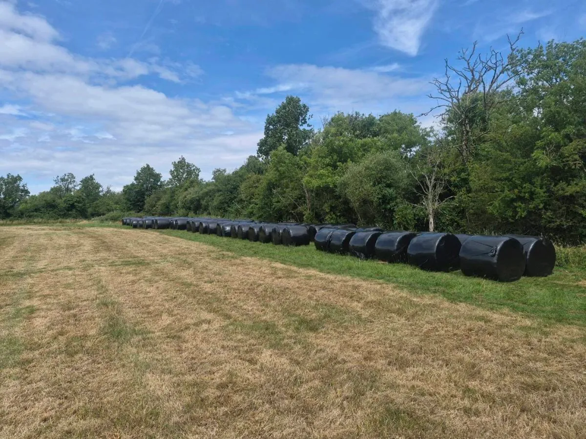 Silage - Image 1