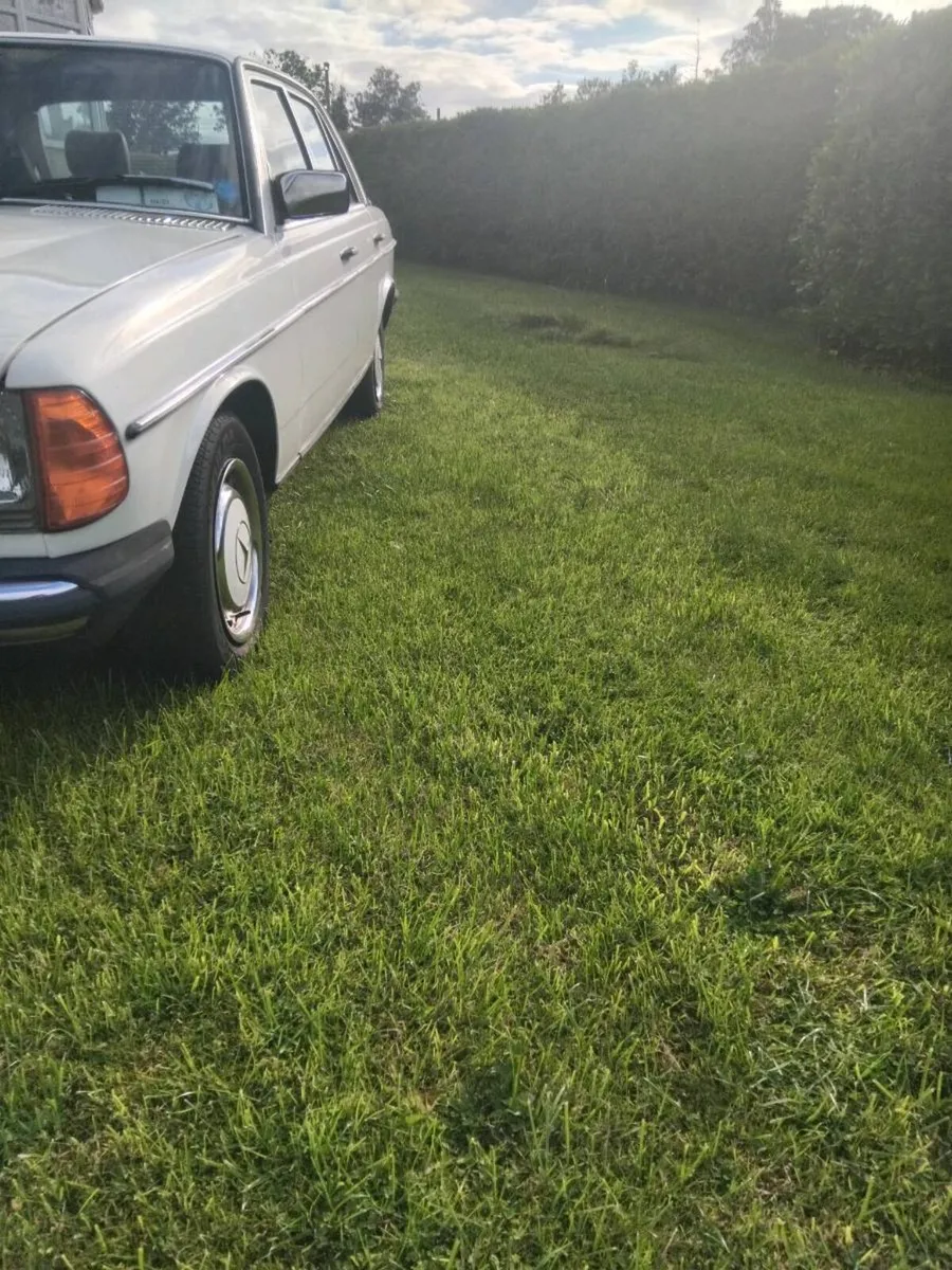 Mercedes w123 300d - Image 2