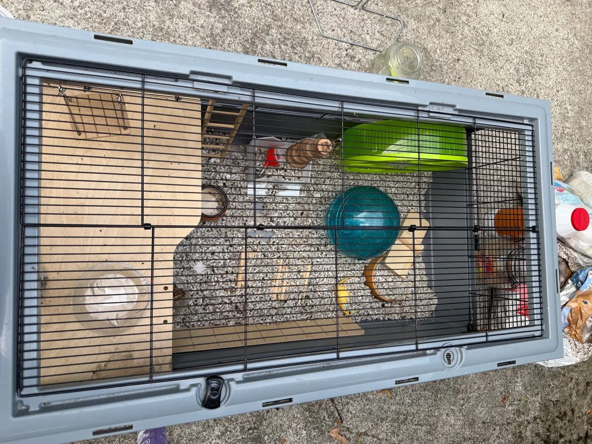 Large Animal Cage & Accessories - Image 2