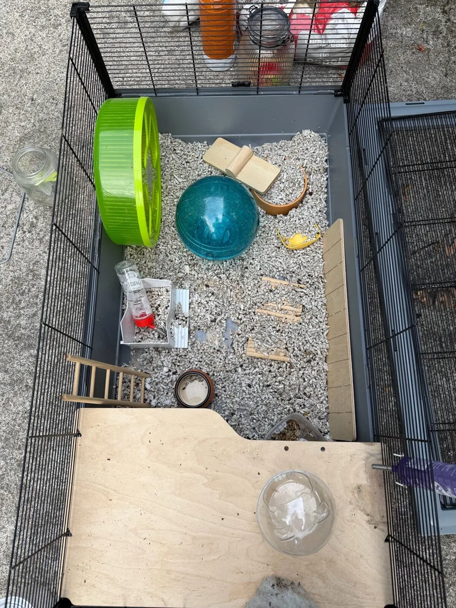 Large Animal Cage & Accessories - Image 3