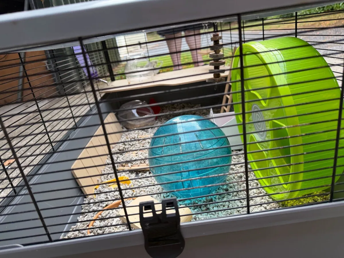 Large Animal Cage & Accessories - Image 4