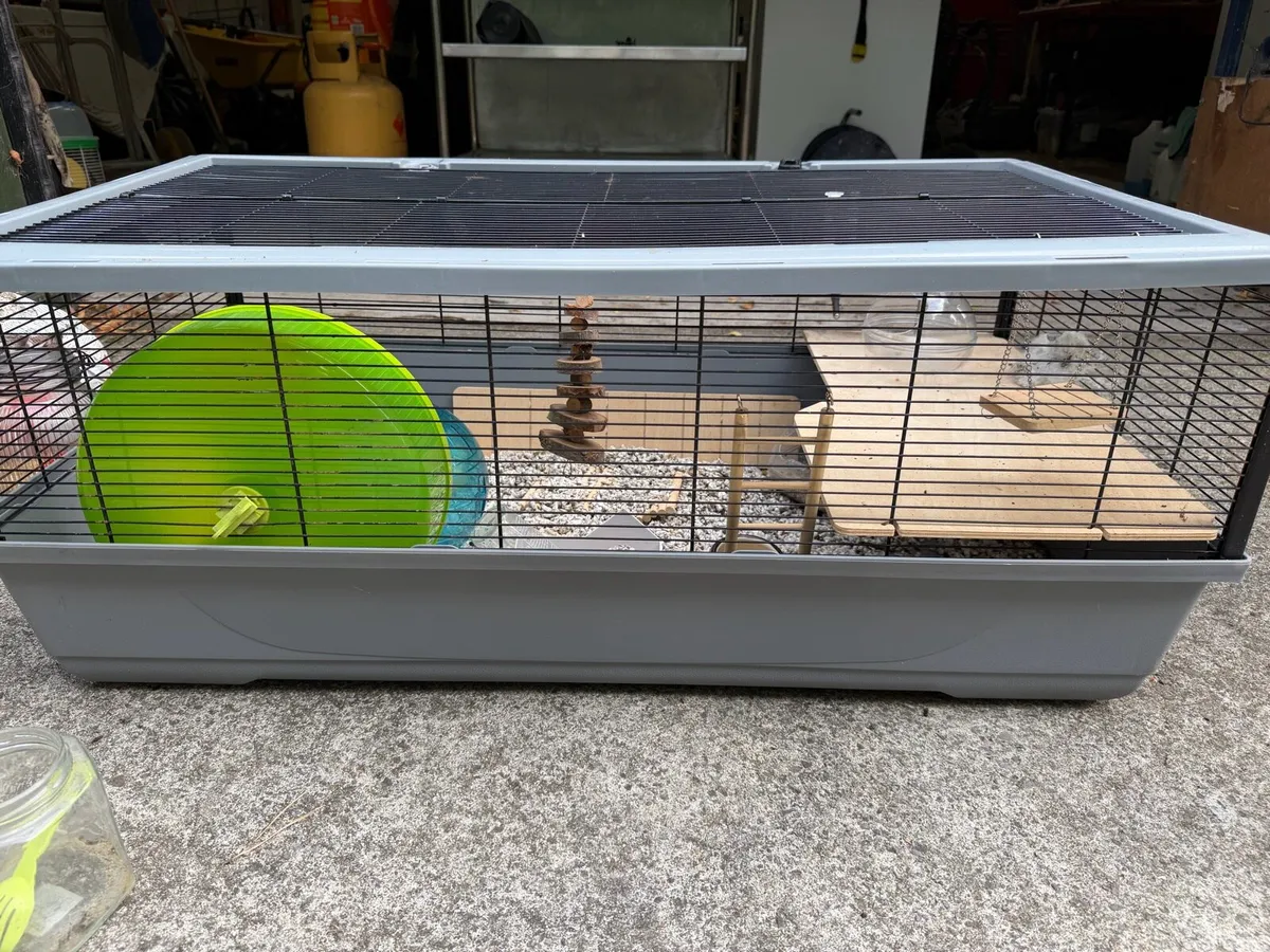 Large Animal Cage & Accessories - Image 1