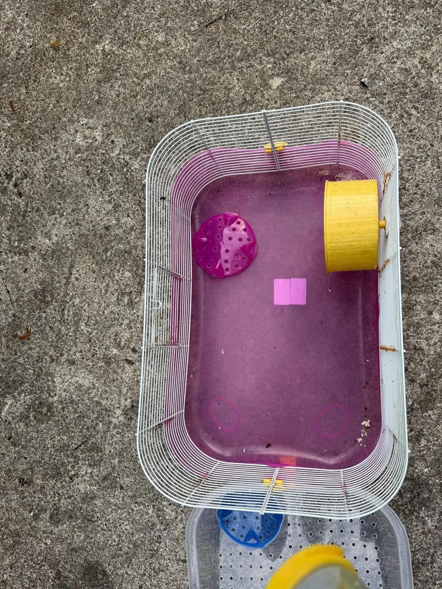 Hamster Cage - Image 2