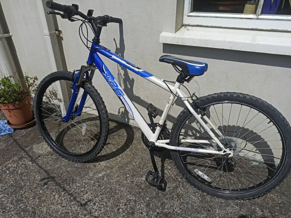 Bike - Image 3