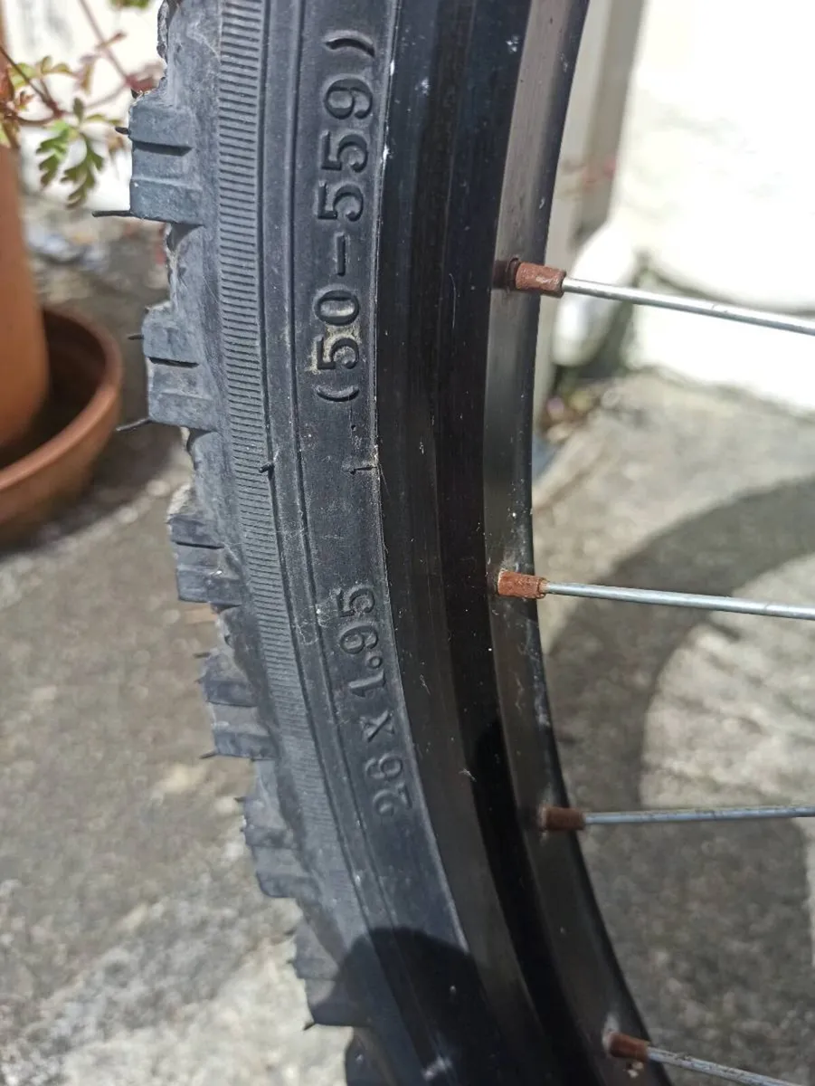 Bike - Image 4